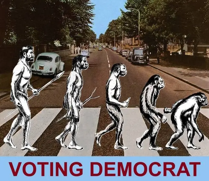 democratvotinggfhdhdjh2.webp