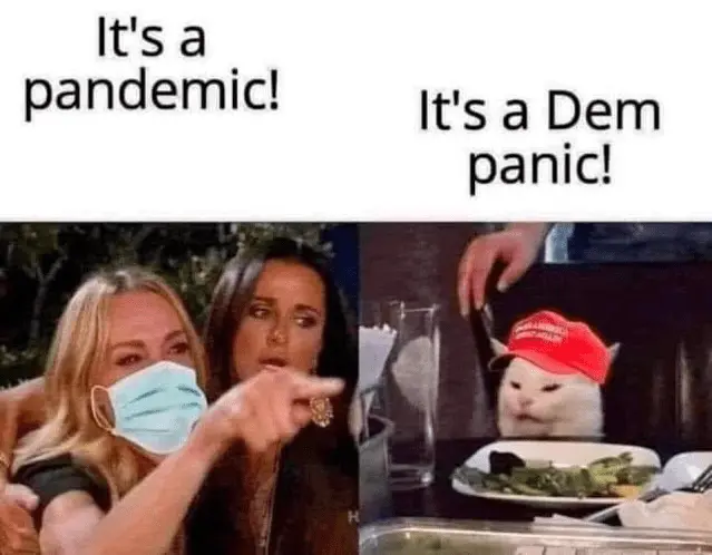 dempanic.webp