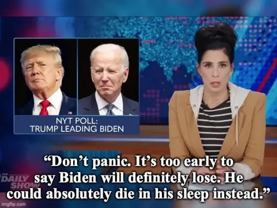 dems dont panic.webp