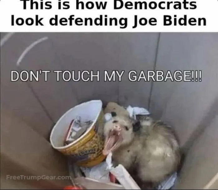 dems garbage.webp