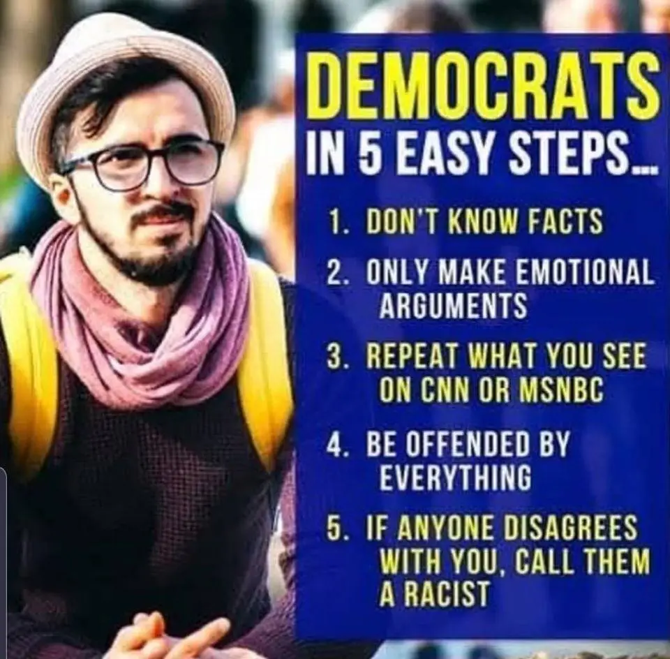 ````Dems in 5 easy steps.webp