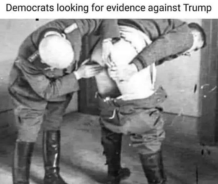 Dems looking for evidence.webp
