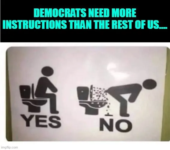 dems need instructions.webp
