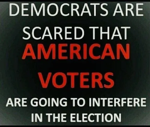 dems scared of maga.webp