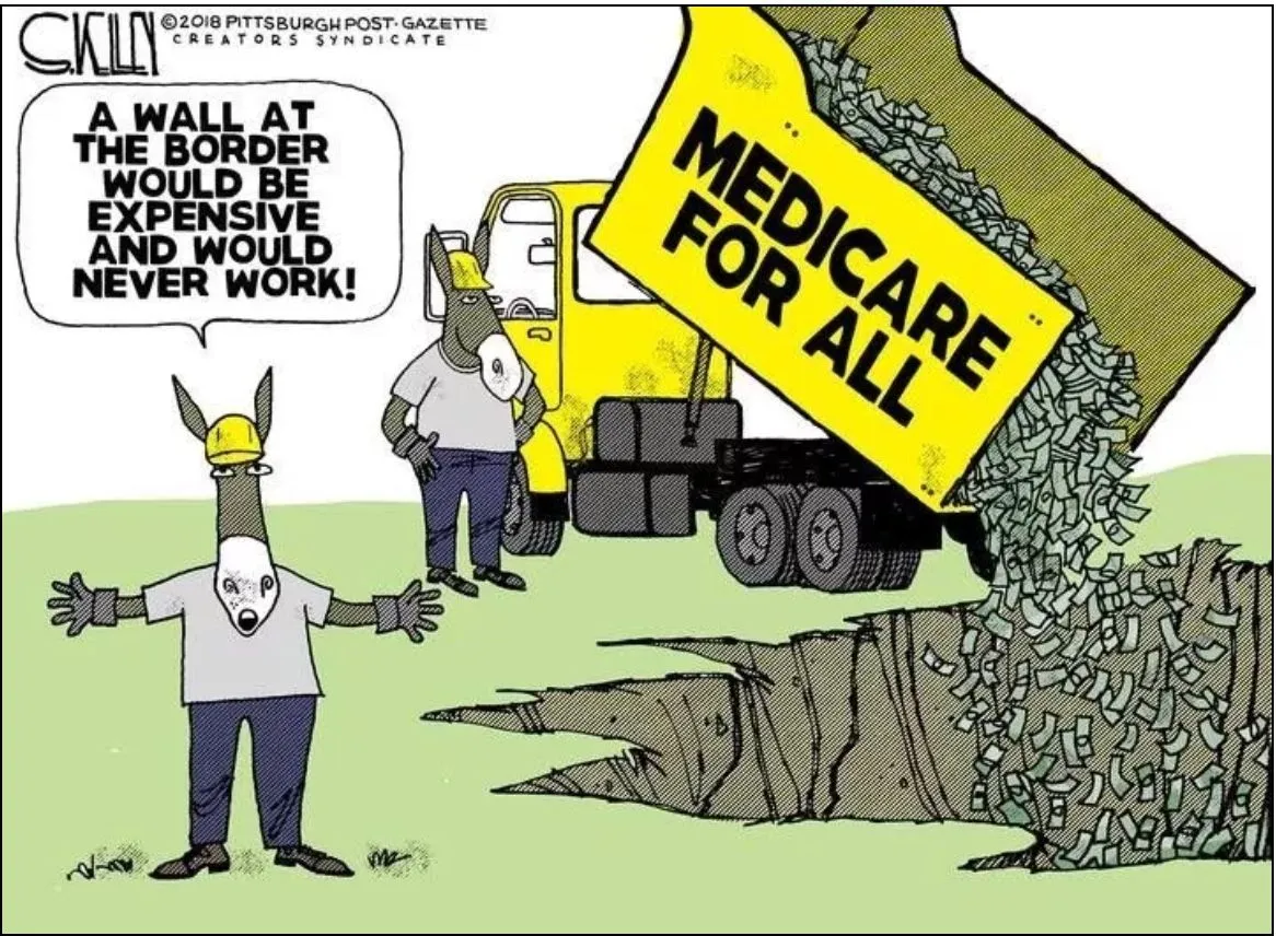 Dems Wall Medicare.webp