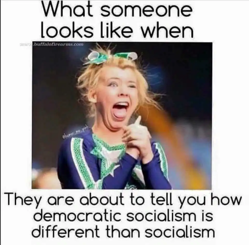 DemSocRetard.webp