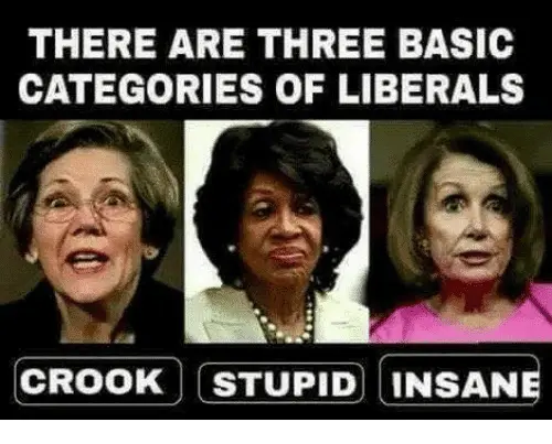 demsrdumbthere-are-three-basic-categories-of-liberals-crook-stupid-insane.webp