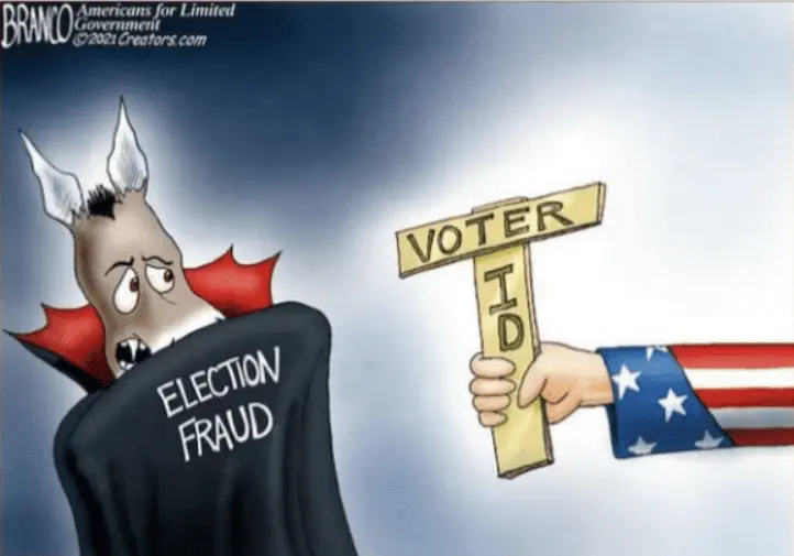 demvoterfraudgdrgsfsfgsgfs.webp