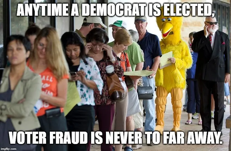 demvoterfraudhgfhgfhf.webp
