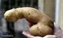 DickTater1.webp