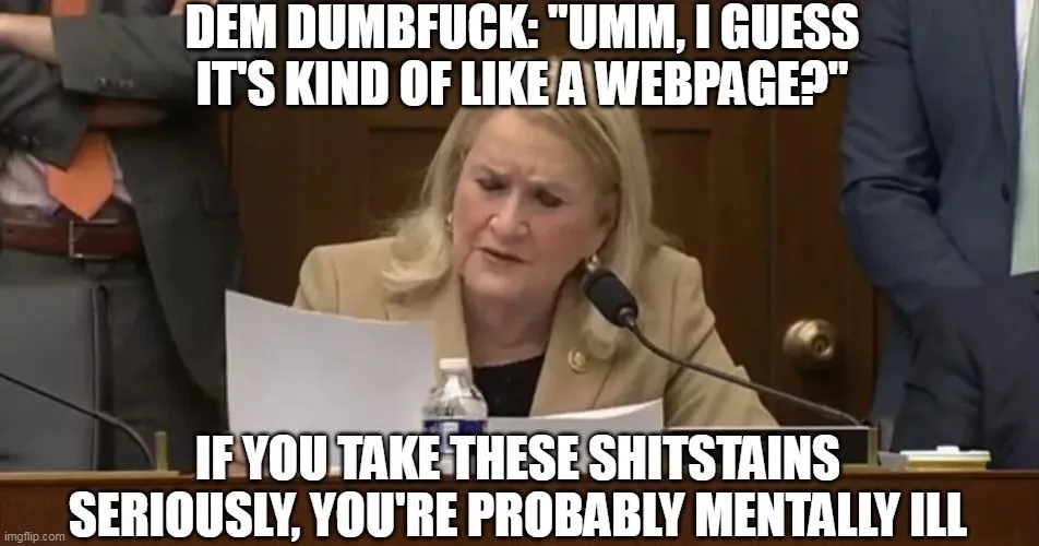dim dumfuck 991.webp