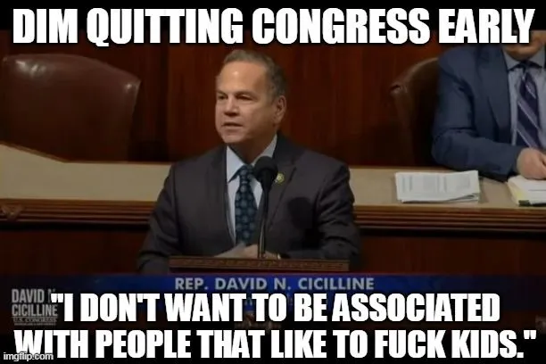 dim quitting congress.webp