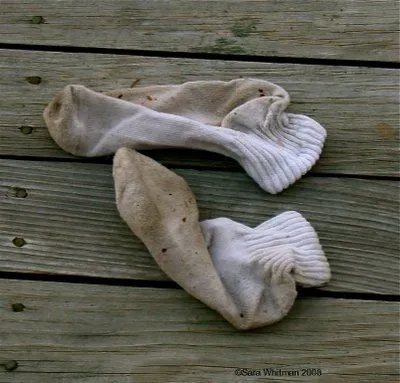 dirty sockz.webp
