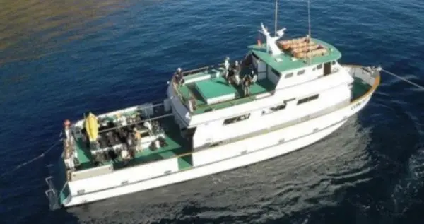 diveboat1.webp
