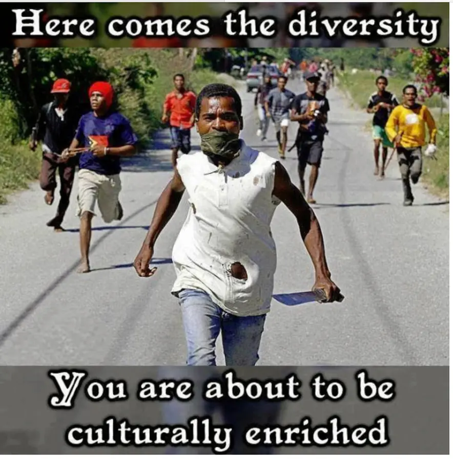 DIVERSITY COMING.webp