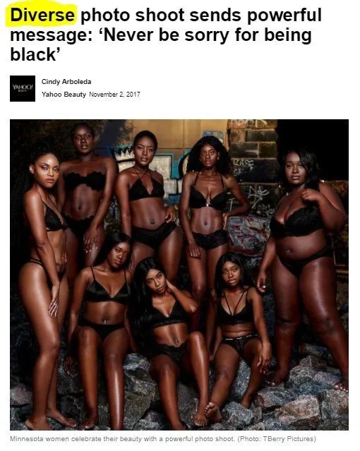diversity.webp