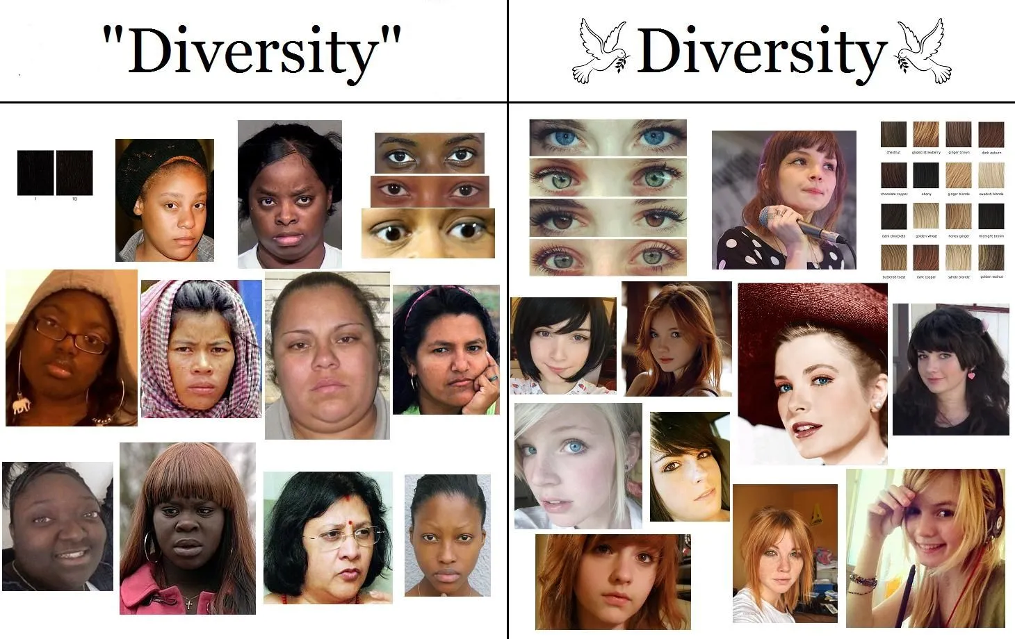 diversity3 - Copy.webp
