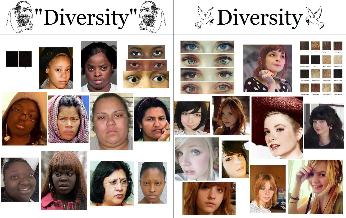 diversity3.webp