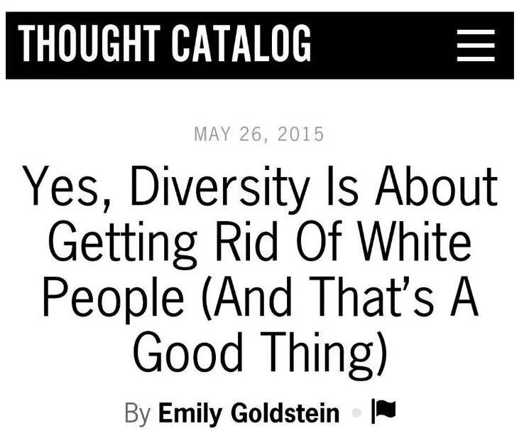 diversity4.webp