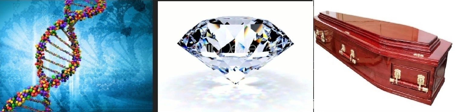 ````DNA DIAMOND COFFIN PUZZLE.webp