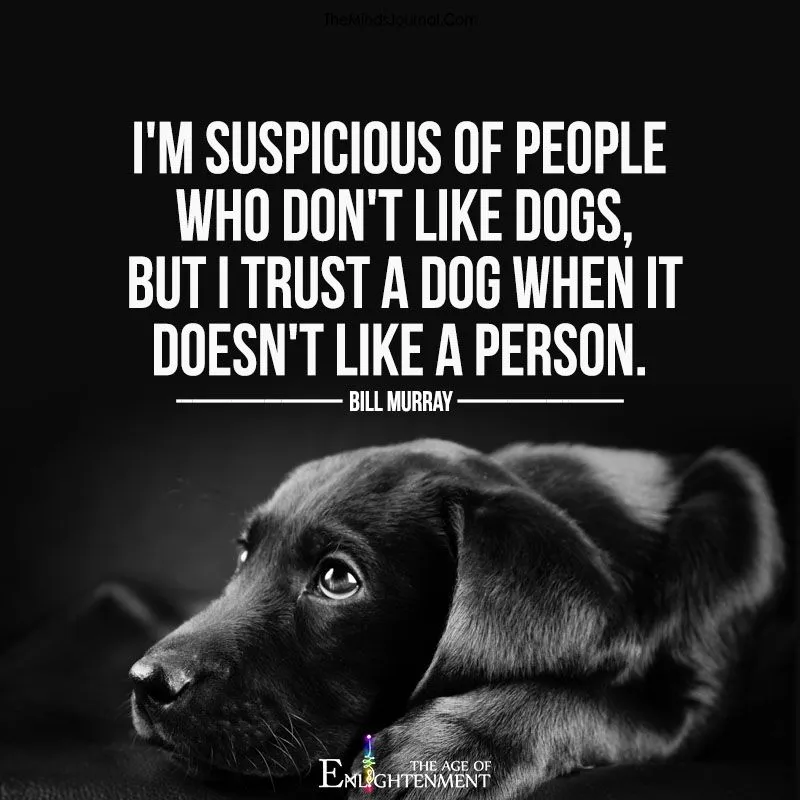 Dog Trust.webp