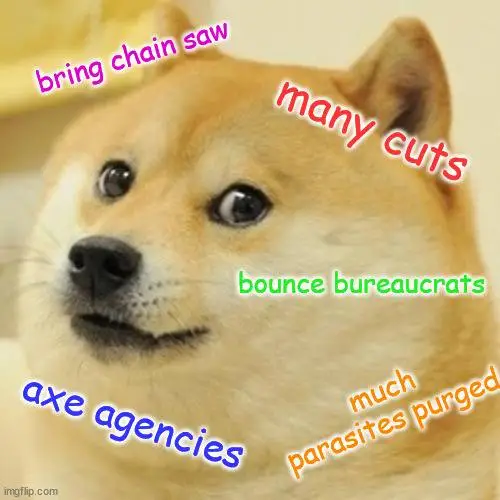 Doge2.webp
