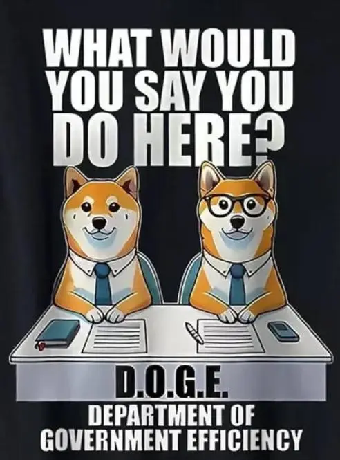 dogeshshshgs.webp