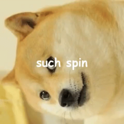dogespin.gif