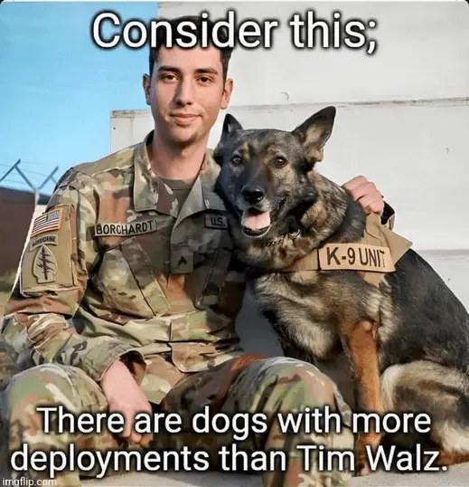 dogs have more deployments than walz.webp