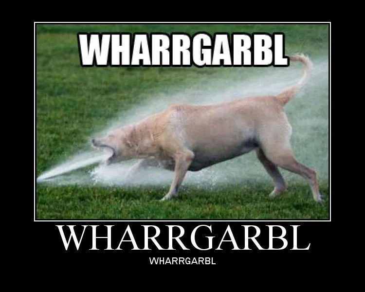 DogWaterSprinkler.webp