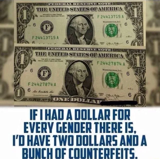 dollar-every-gender-there-dollars-bunch-counterfeits-memes-c0bd8a0aed4d6c01-e08954dfaccf2a02.webp
