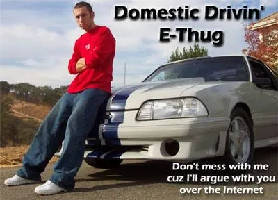 domesticEthug.webp