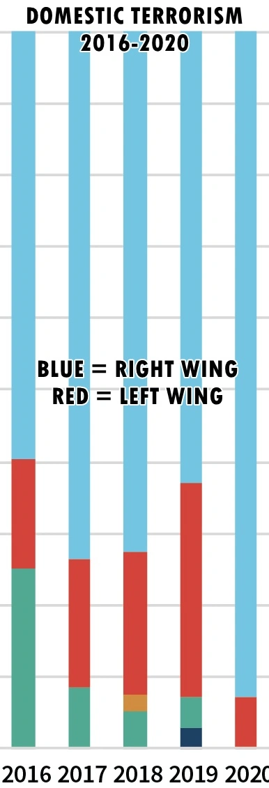 DomesticTerrorism20162020.webp