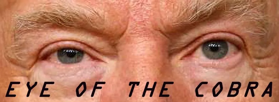 Donald-Trump-Angry 2.webp