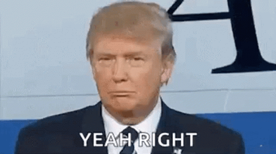 donald-trump-face-yeah-right-o96d0r07zydcqzsk.gif