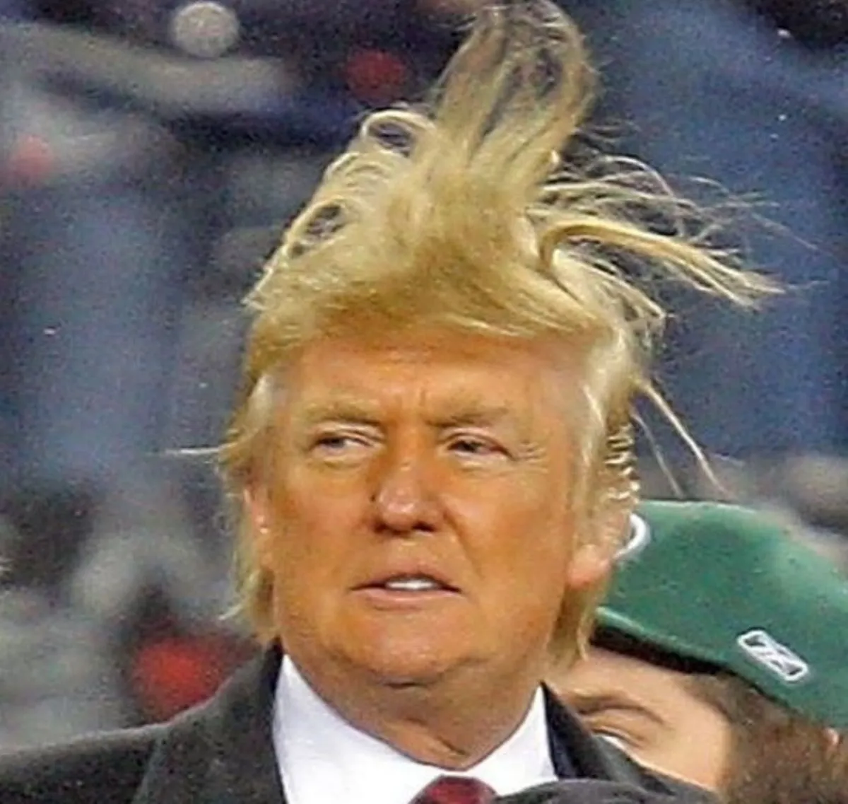 donald-trump-hair3.webp