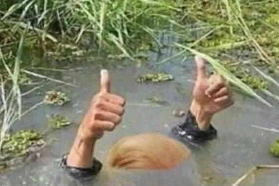 donald-trump-thumbs-up-e1486737489737.webp