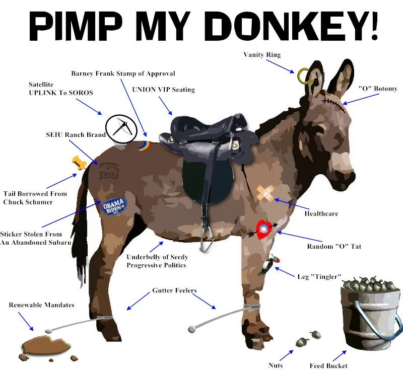 Donkey.webp