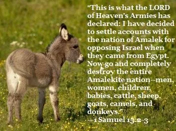 donkey3_zpsd856a9bd.webp