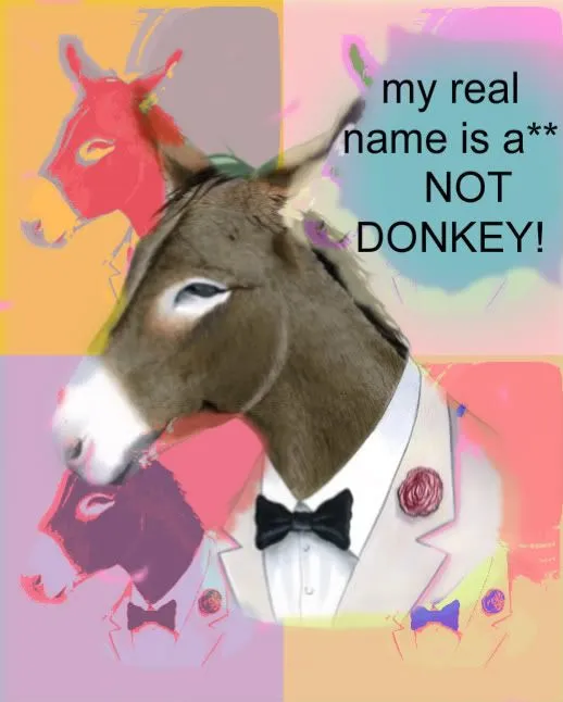 donky.webp