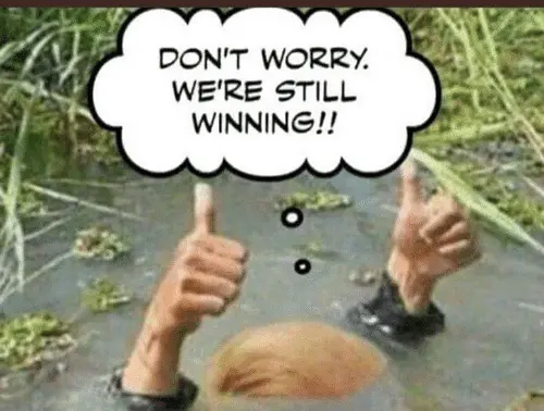 dont-worry-were-still-winning-dunny-dindu-nuffin-63400529.webp