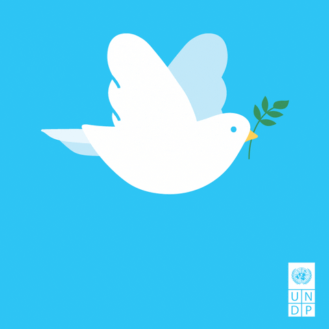 dove of peace.gif
