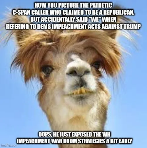 download-1 (12).webp