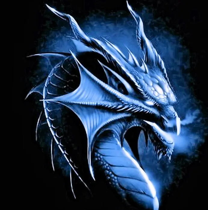 dragon.webp