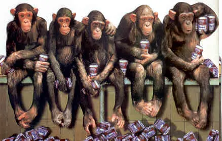 drunken_monkeys1.webp