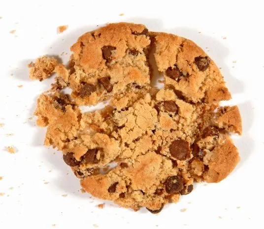 Dry-broken-cookie-3.webp