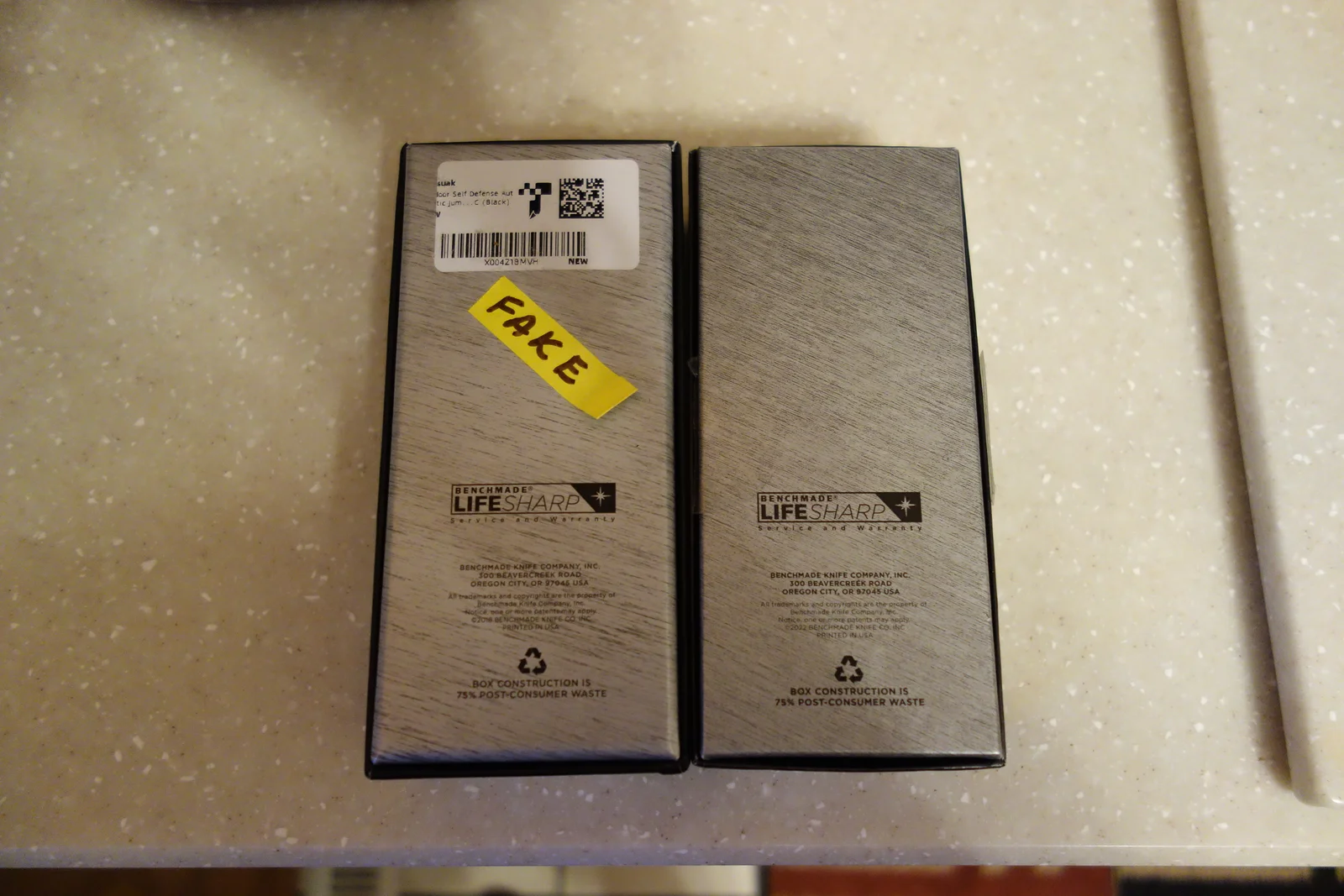 DSC06156.webp