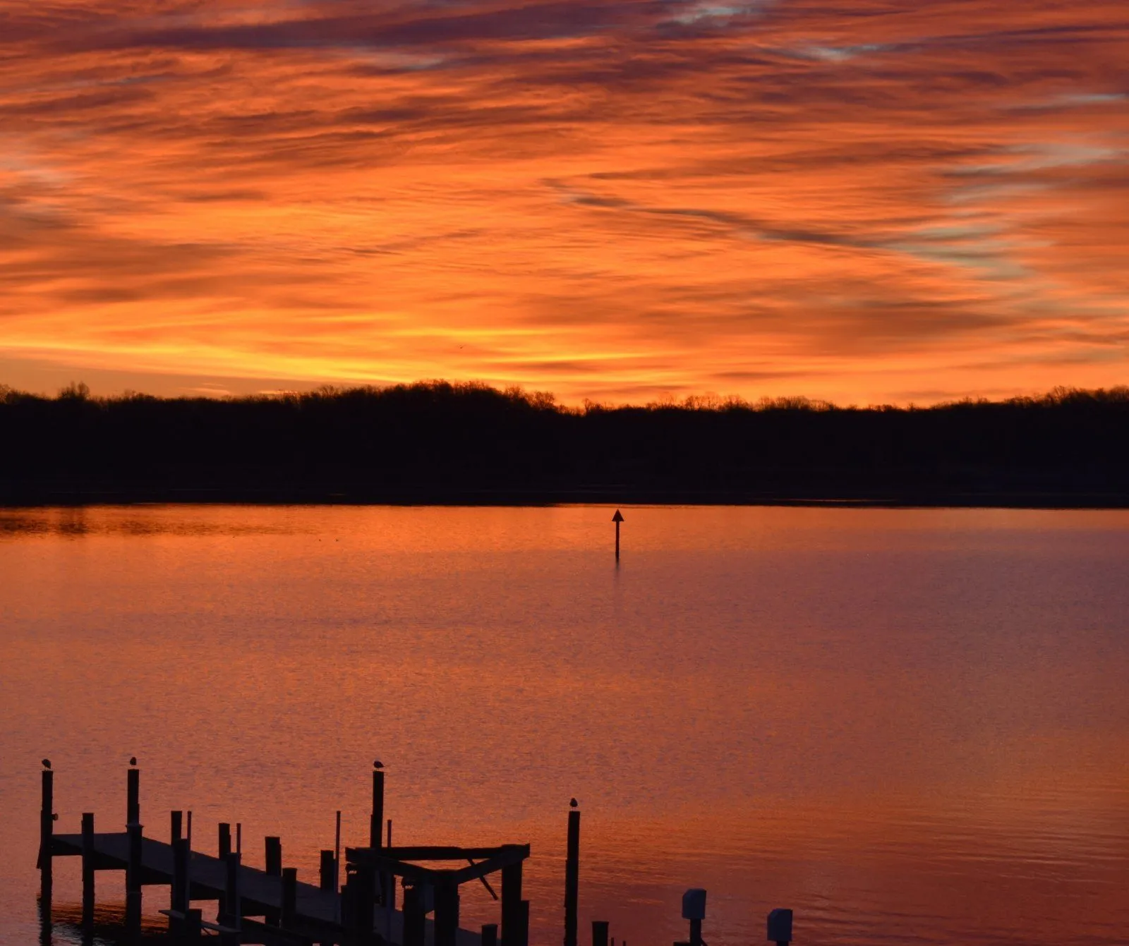 DSC_0062 (2).webp