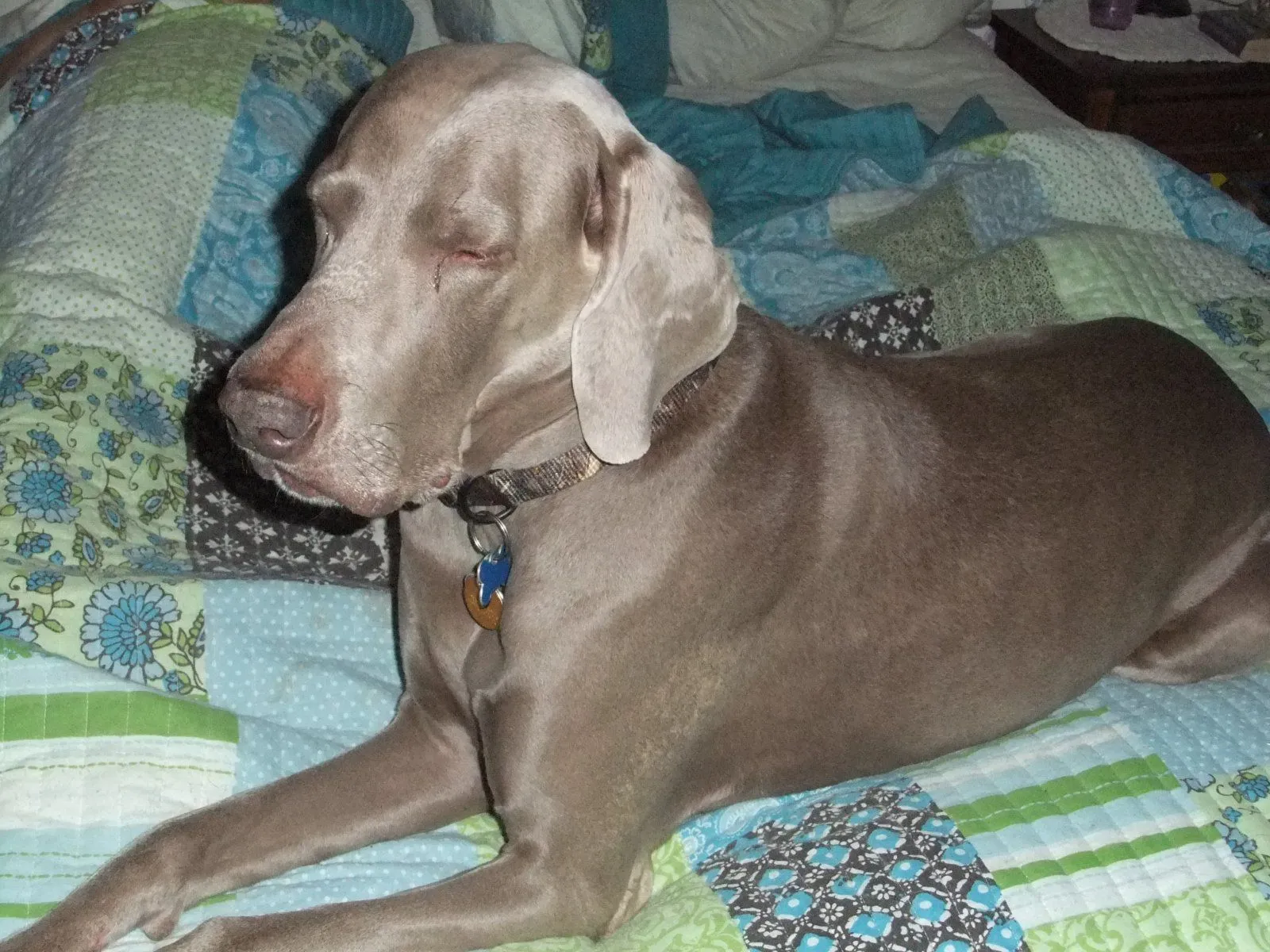 DSCF0799.webp