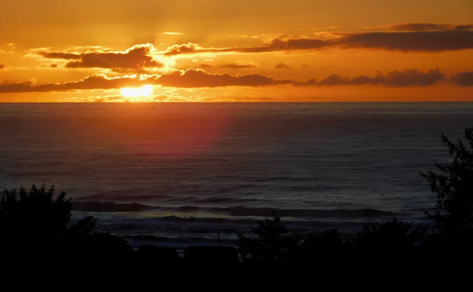DSCN0564.webp